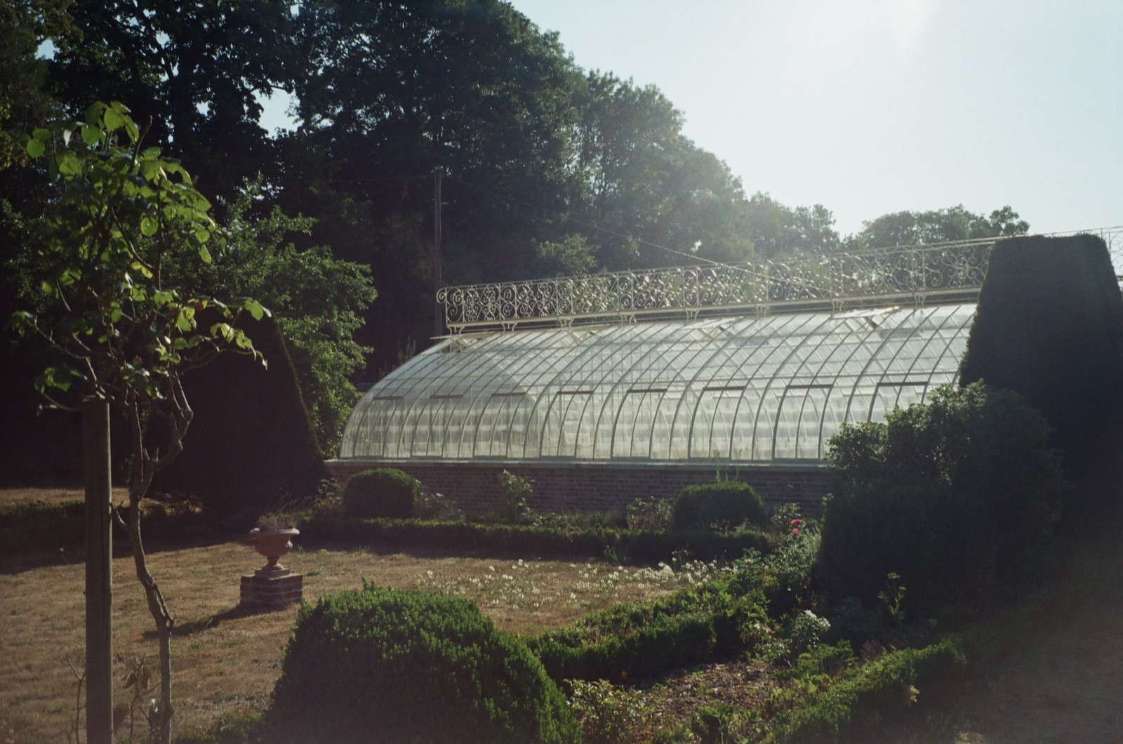 A long glasshouse behind clipped box hedges, with a stone urn on a pedestal in the garden